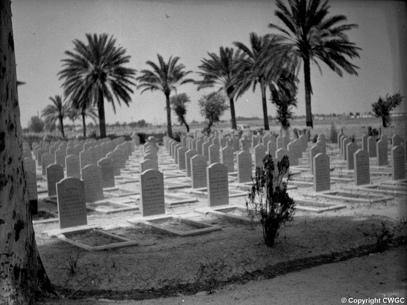 Ma'asker al Raschid (Hinaidi) RAF Cemetery in its maintained years, the graves laid out in even rows with kerbed plots and date palms along the boundary. Copyright CWGC.