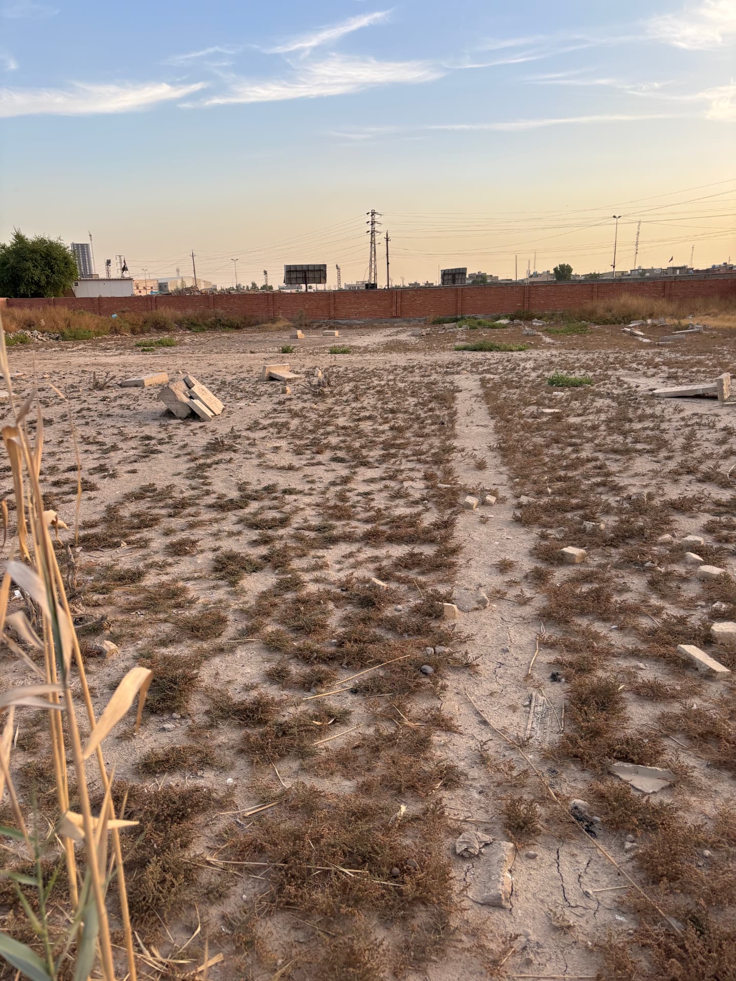 The burial ground looking towards the perimeter wall, the grave rows marked only by kerb stones and scattered fragments across bare, weed-covered ground.