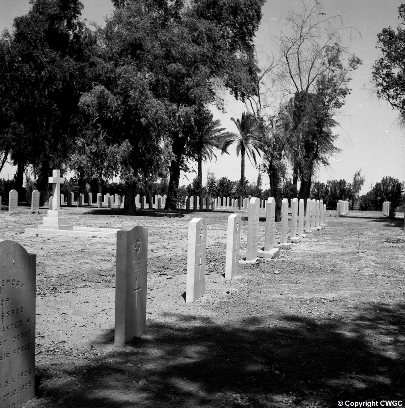 The Cross of Sacrifice standing among the headstones, with mature trees giving shade across the burial ground. Copyright CWGC.