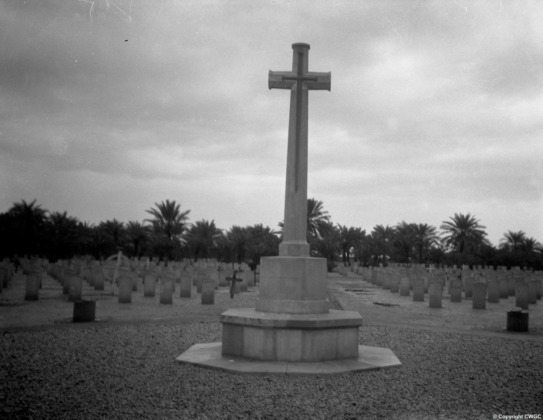 The Cross of Sacrifice rising above ordered rows of headstones, with date palms forming a dense backdrop. © CWGC.