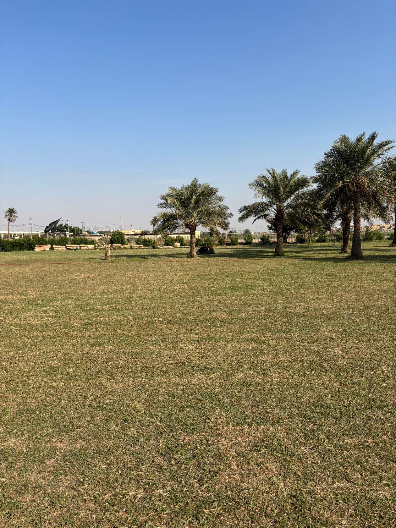 The grassed grounds of the cemetery today, with date palms at right, the surrounding city visible beyond the perimeter and an Iraqi religious flag flying in the distance at left.